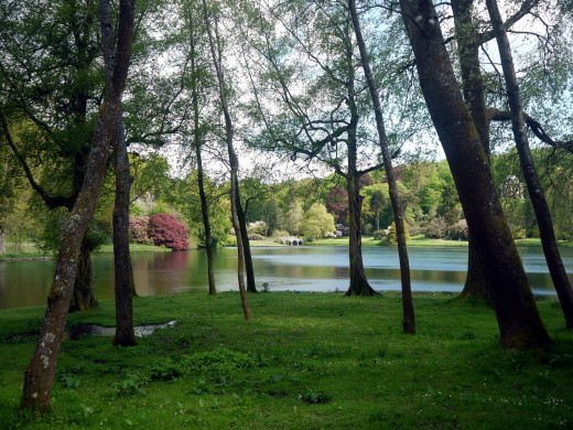 814550 (a): :2560x1920